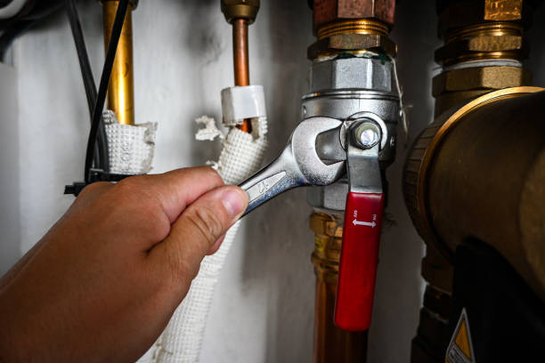 Best Local Plumber Services  in Gladwin, MI